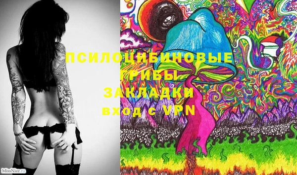 молекула духа Абинск