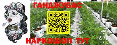прущие крисы Тулун
