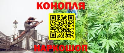 прущие крисы Тулун