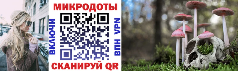 Псилоцибиновые грибы Cubensis  Сертолово 