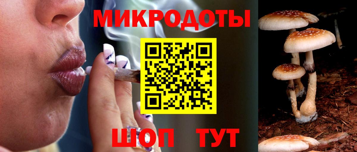 Галлюциногенные грибы прущие грибы Сертолово