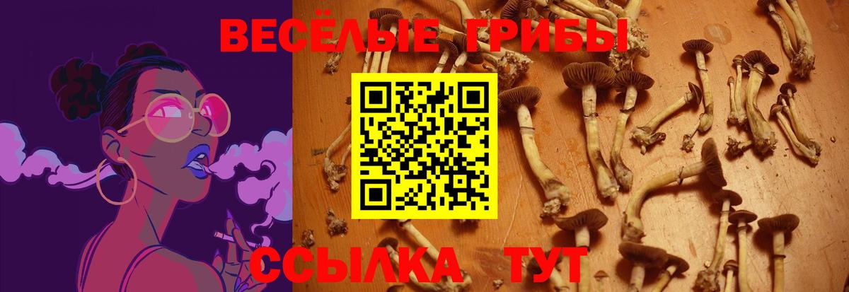 Галлюциногенные грибы MAGIC MUSHROOMS  Галлюциногенные грибы Cubensis  Вход с VPN  Сертолово 