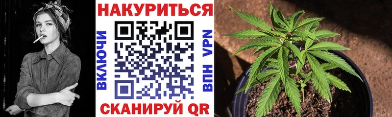 Бошки марихуана Amnesia  где можно купить наркотик  darknet Telegram  Сертолово  мега зеркало 