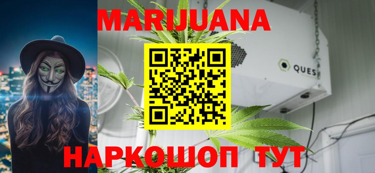 Сертолово  Конопля план  Бошки марихуана OG Kush  Вход с VPN 
